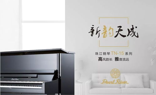 超值 各类进口精品原装二手钢琴平民价,要买琴的你肯定要看看了