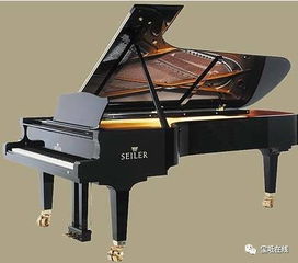 有这么好的事儿 免费让孩子们体验钢琴课 小提琴课 大提琴课 这是真的吗