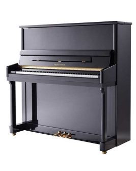 会过日子的人一般会买哪个牌子的森迪乐器代理销售?你肯定想不到