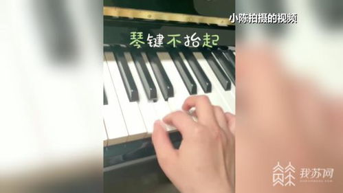 进口钢琴频频出问题，是‘水土不服’还是另有隐情？